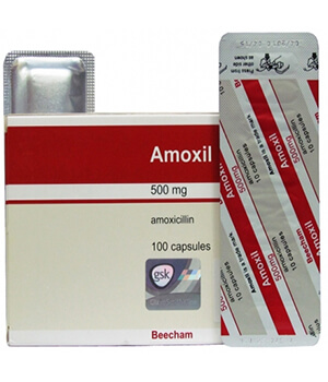 Brand Amoxil 500mg